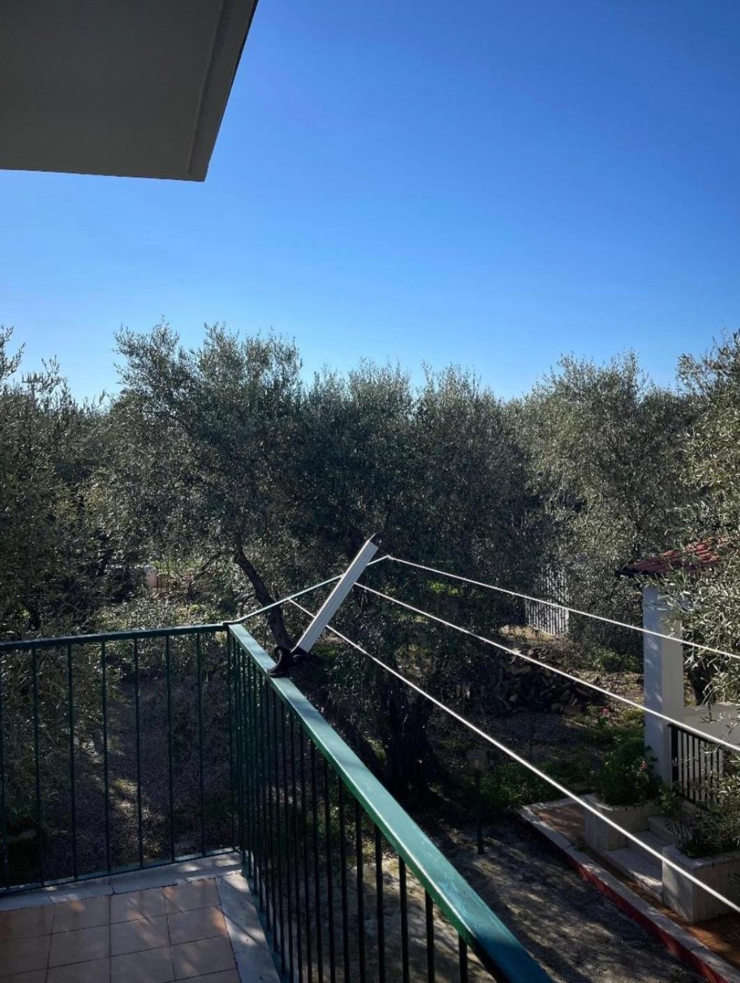 Villa Margherita Vieste Bagian luar foto